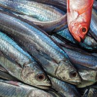 Large-scale changes bring opportunity for further collaboration