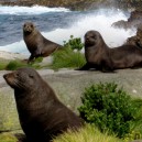 Mitigate interactions