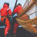 Working in partnership