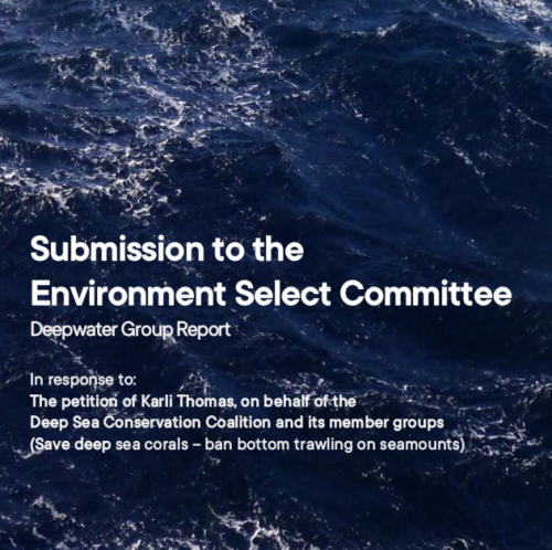 Deepwater Group cover of submission to Environment Select Committee