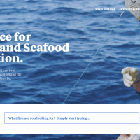 OpenSeas answers your questions simply