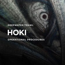DEEPWATER TRAWL HOKI