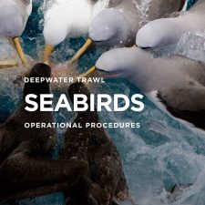 DEEPWATER TRAWL SEABIRDS v6.0