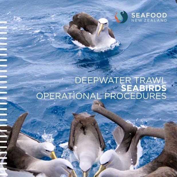 Seabirds 2025